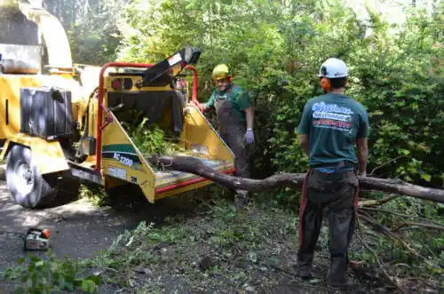 tree services Sweetser